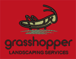 QT-177157-Grasshopper rizsew